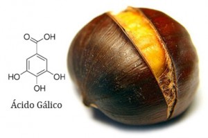 castanha-acido-galico