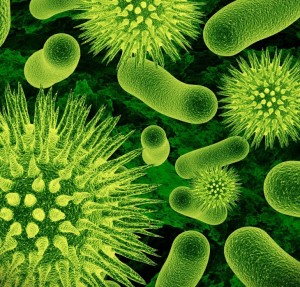Infeções causadas por vírus e bactérias