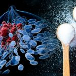 O açúcar alimenta o cancro?