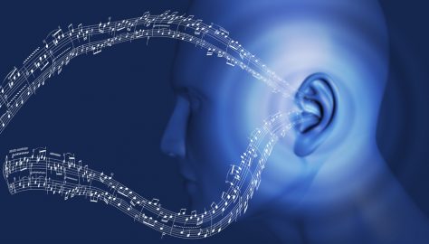 sistema-auditivo-periferico