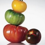 Se tem tomate… tem quase tudo