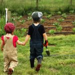 Cultivar legumes: aprender em criança, saber comer para a vida
