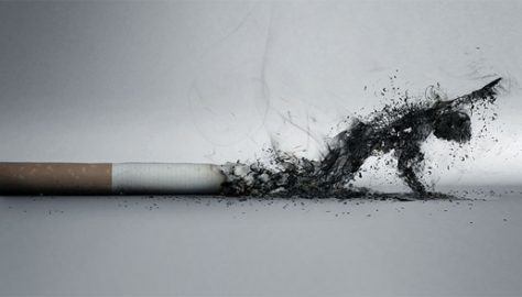 fumo do tabaco mata