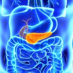 Cancro do pâncreas: à procura de um tratamento eficaz