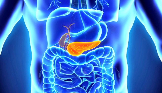 cancro do pancreas