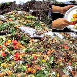 Desperdício alimentar: qual o seu impacto ambiental?