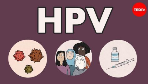 HPV - vírus do papiloma humano,