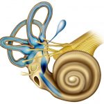 Patologias do ouvido interno que provocam surdez: como reabilitar